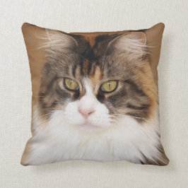 Cojín Decorativo Fluffy Maine Coon Cat