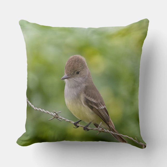 Cojín Decorativo Flycatcher (Anverso)