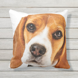 COJÍN DECORATIVO FOCO DE LA CARA DEL BEAGLE