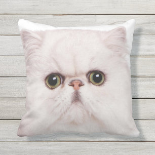 COJÍN DECORATIVO FOCO DE LA CARA DEL CAT PERSA