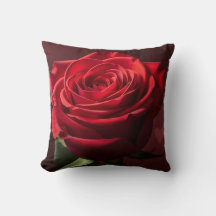 fondo romántico de rosa roja de San Valentín