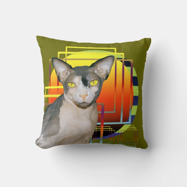 Cojín Decorativo Fondo transparente de Ninja del gato de la (Anverso)