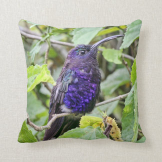 Cojín Decorativo Foto azul del colibrí