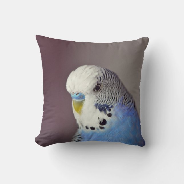 Cojín Decorativo Foto de bonito Blue Budgie (Anverso)