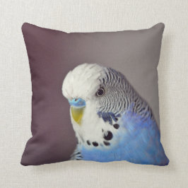 Cojín Decorativo Foto de bonito Blue Budgie