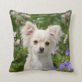 Cojín Decorativo Foto de cachorro de perro chihuahua crema de cacho
