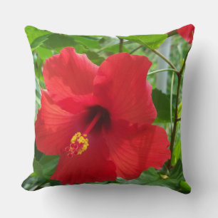 Cojín Decorativo Foto de flor de hibisco tropical rojo en un