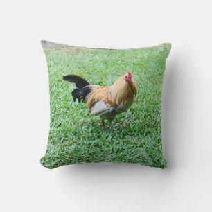 Cojín Decorativo foto de gallina de hawaii