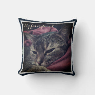Cojín Decorativo Foto de gato, gato, Mascotas, gato gracioso