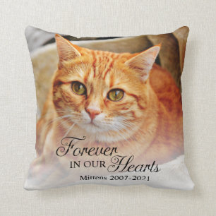 Cojín Decorativo Foto De Gato Memorial Para Siempre En Nuestro Cora