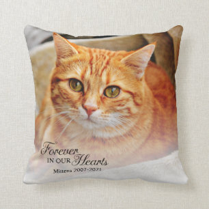 Cojín Decorativo Foto De Gato Memorial Para Siempre En Nuestro Cora