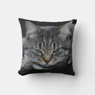 Cojín Decorativo Foto de gato salvaje del tigre africano, amante de