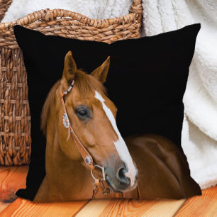 Cojín Decorativo Foto de hermoso caballo cuarto de milla marrón bla