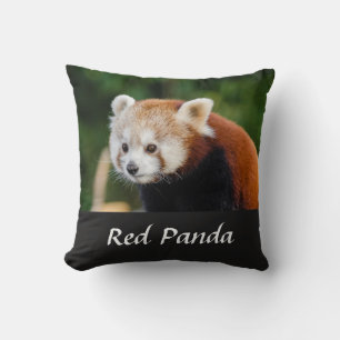 Cojín Decorativo Foto de naturaleza de Panda Rojo salvaje