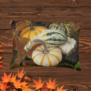 Cojín Decorativo Foto de naturaleza muerta de calabazas y squash