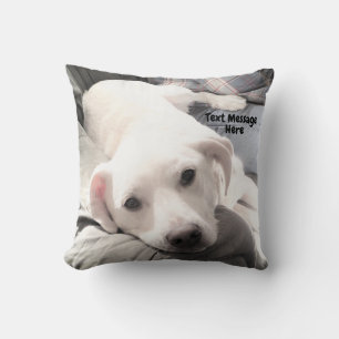 Cojín Decorativo Foto de perro cansado lindo con papá en sofá cuadr