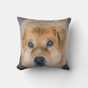 Cojín Decorativo Foto de perro lindo