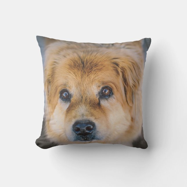 Cojín Decorativo Foto de perro lindo (Anverso)