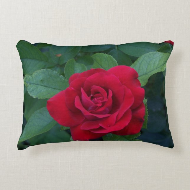 Cojín Decorativo Foto de Rosa Roja (Anverso)