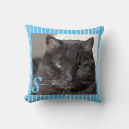 Cojín Decorativo Foto de un gato turquesa