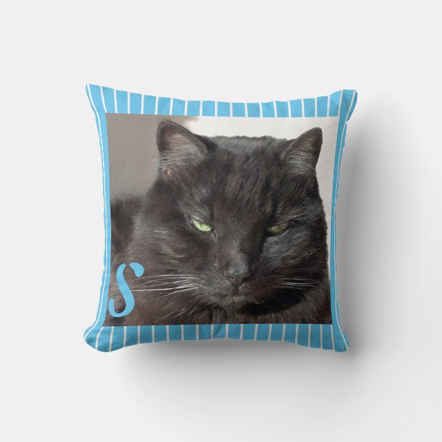 Cojín Decorativo Foto de un gato turquesa (Anverso)