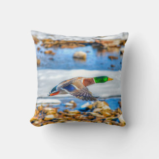 Cojín Decorativo Foto de vida silvestre de Drake con pato mallard v