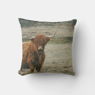 COJÍN DECORATIVO FOTO DE VINTAGE HIGHLAND CATTLE COW