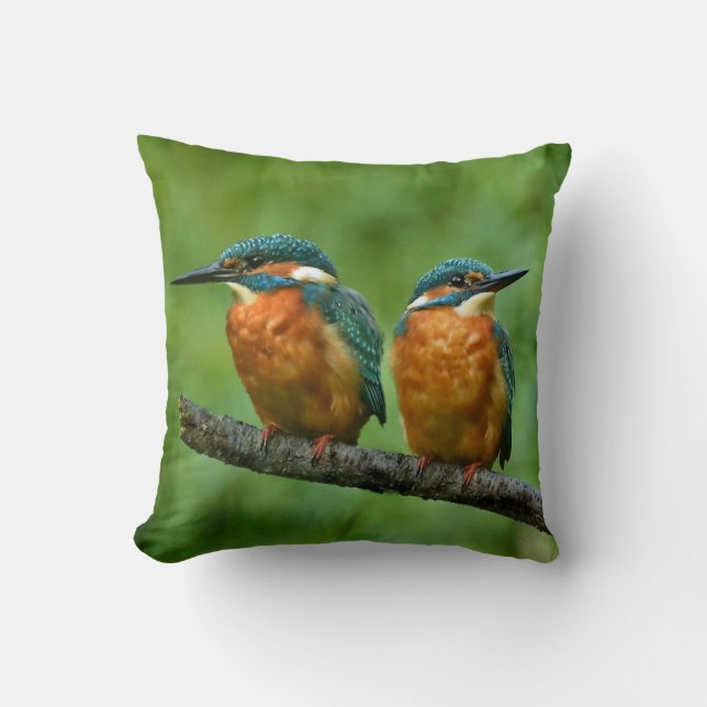 Cojín Decorativo Foto de Wildlife Kingfisher (Anverso)