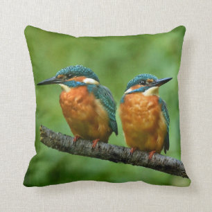 Cojín Decorativo Foto de Wildlife Kingfisher