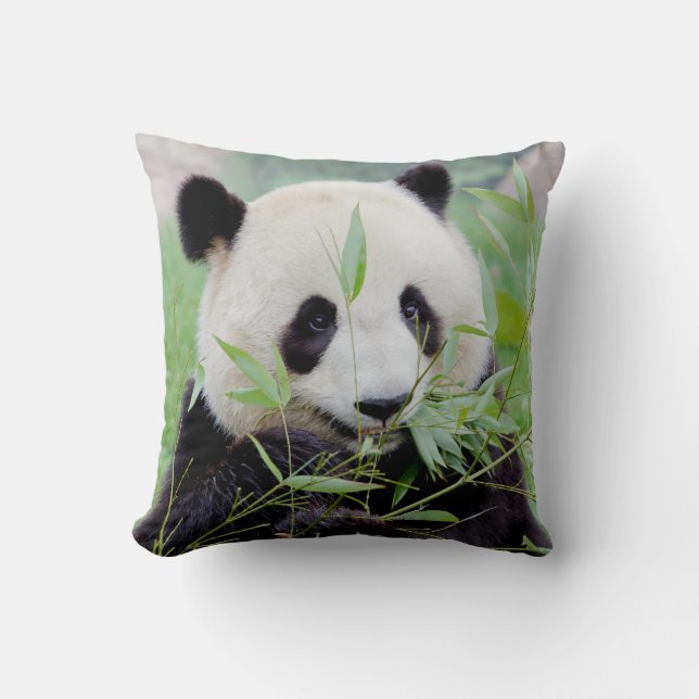 Cojín Decorativo Foto gigante panda , animales 0318. (Anverso)