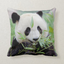 Cojín Decorativo Foto gigante panda , animales 0318.