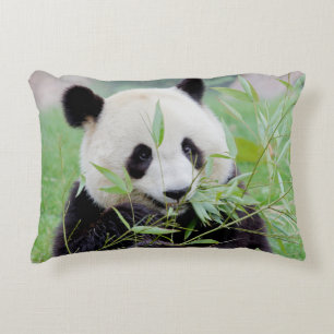 Cojín Decorativo Foto gigante panda , animales 0322.