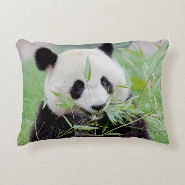 Cojín Decorativo Foto gigante panda , animales 0322. (Anverso)