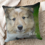 Cojín Decorativo Foto moderna Mascotas personalizadas familia Perro<br><div class="desc">Presentamos nuestra almohada moderna y sencilla personalizada, perfecta para mostrar a su amado mascota de una manera única. Con la opción de añadir el nombre de su mascota, esta almohada es un gran regalo para la familia, amigos e incluso abuelos. La almohada contiene una foto de alta calidad de tu...</div>
