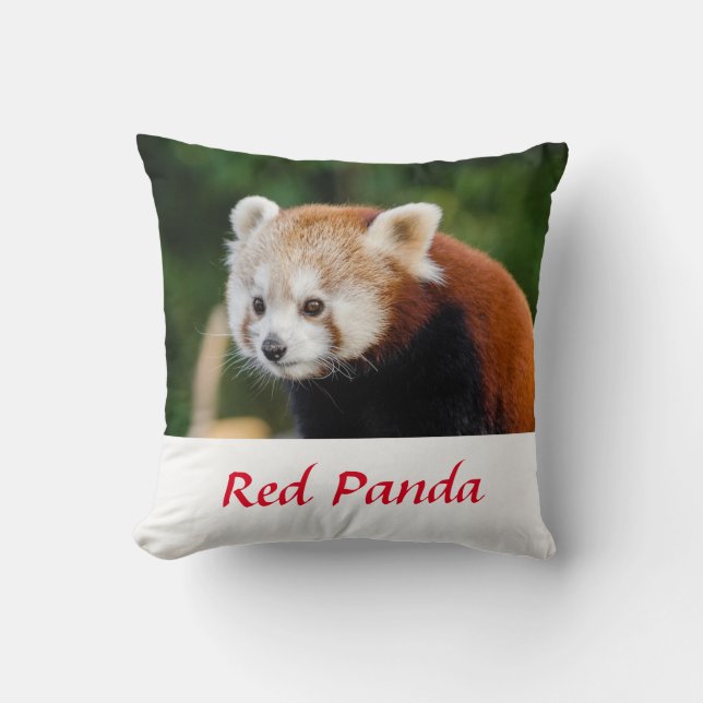 Cojín Decorativo Foto natural del Panda rojo salvaje (Anverso)