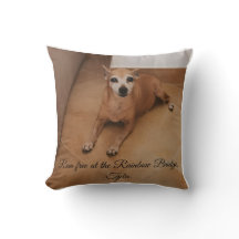 Foto personalizada y nombre de mascota memorial 