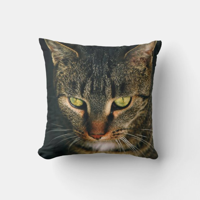 COJÍN DECORATIVO FOTOGRAFÍA CERRADA DEL GATO DE TABBY GRIS (Anverso)