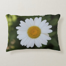 Cojín Decorativo Fotografía de alta definición de un Daisy