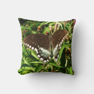 Cojín Decorativo Fotografía de la naturaleza de la mariposa de cola