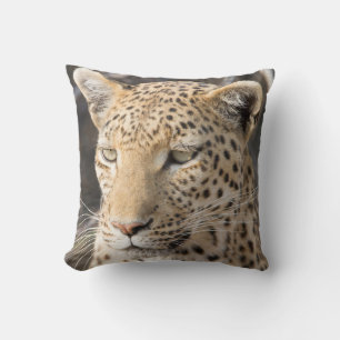 Cojín Decorativo Fotografía de Leopard