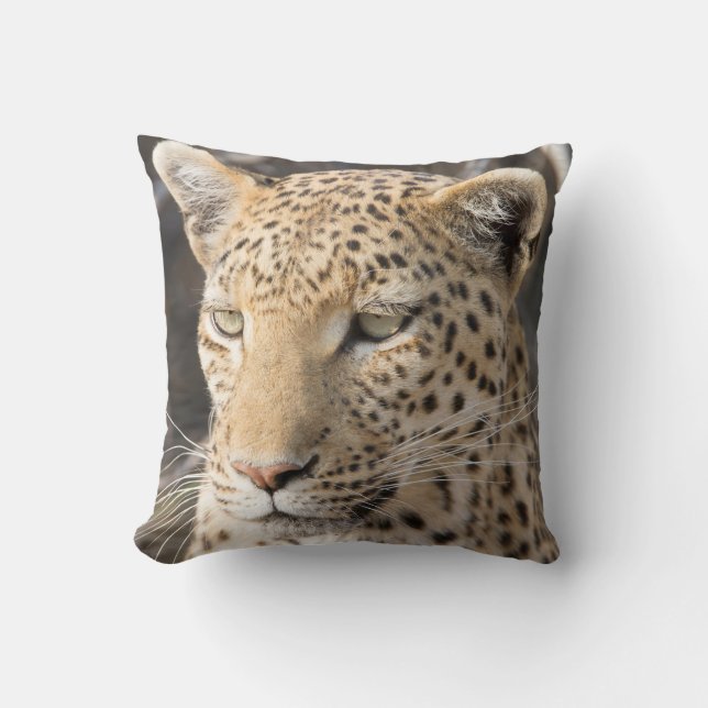 Cojín Decorativo Fotografía de Leopard (Anverso)