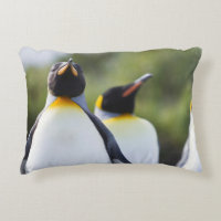 Fotografía de los pingüinos del rey orgulloso