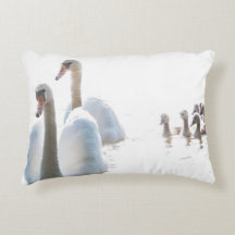 Fotografía de naturaleza de la familia de cisnes