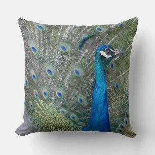 Cojín Decorativo Fotografía de pavo real