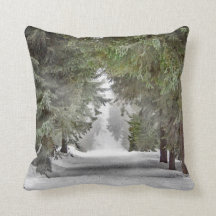 Fotografía de pinos de nieve en los caminos forest