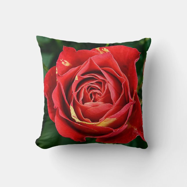 Cojín Decorativo Fotografía de Rosa Roja  (Anverso)