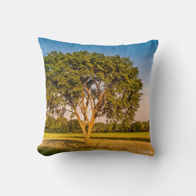 Cojín Decorativo fotografía de un árbol en unos campos (Anverso)