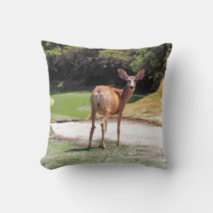Cojín Decorativo fotografía de venado mirando a la cámara