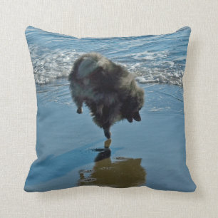 Cojín Decorativo Fotografía del ballet del Keeshond - arte origina