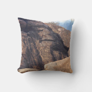 Cojín Decorativo Fotos de Jeroglíficos del Suroeste Diseñadas